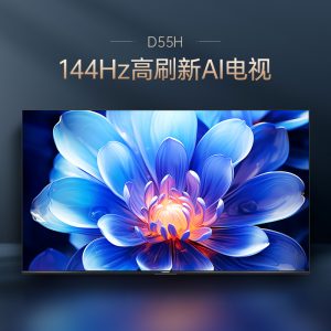 TV/55 POUSSE